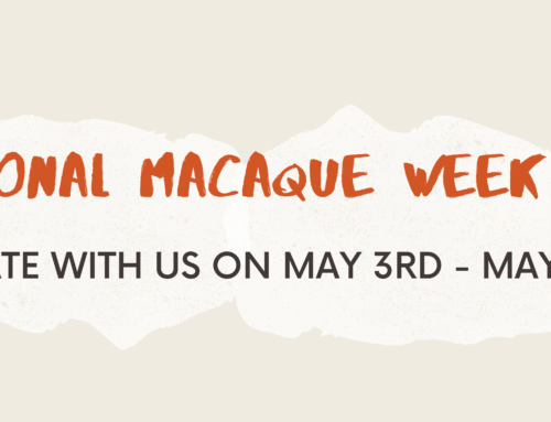 International Macaque Week
