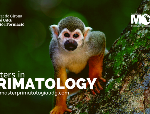 Masters in Primatology